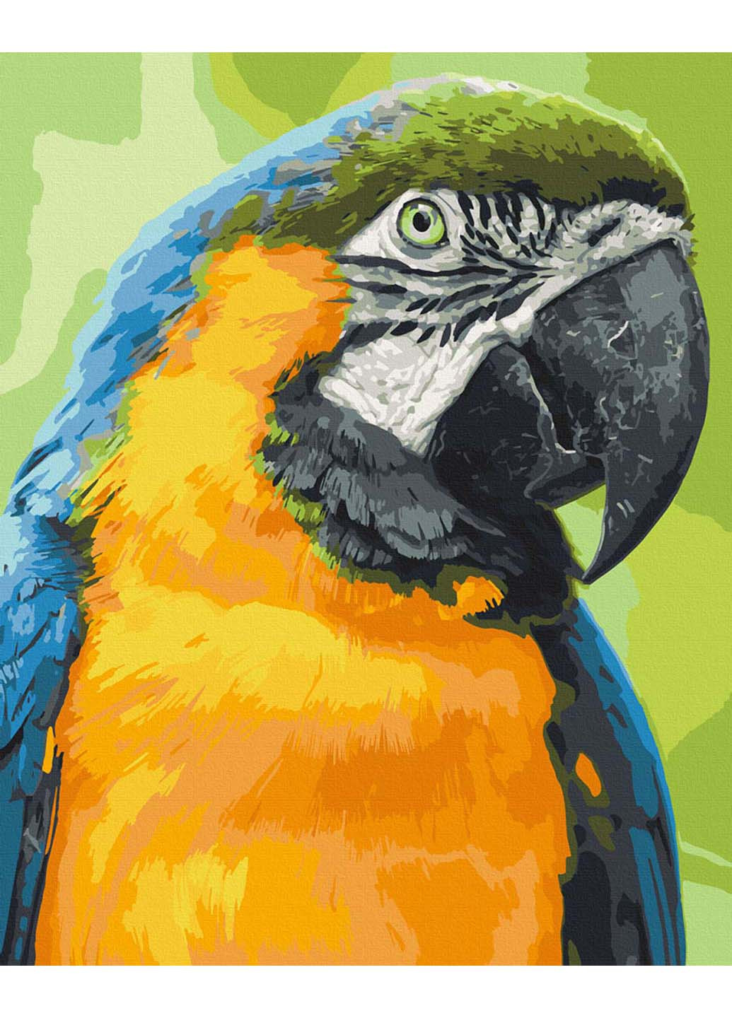 Картина по номерам Попугай Ара 40х50 см Art Craft (258021904)