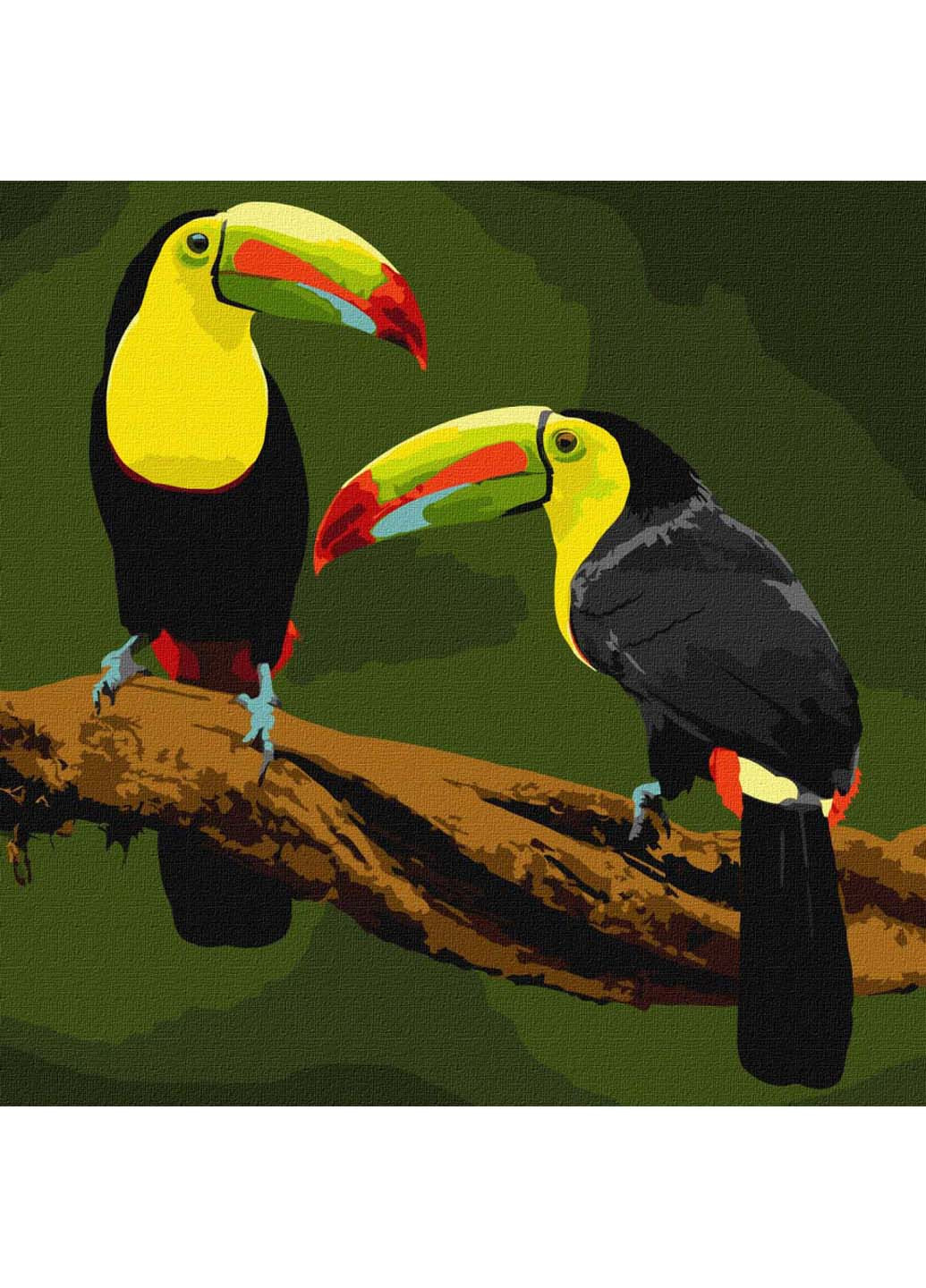 Картина за номерами Екзотичні птахи 40х40 см Идейка (258021736)