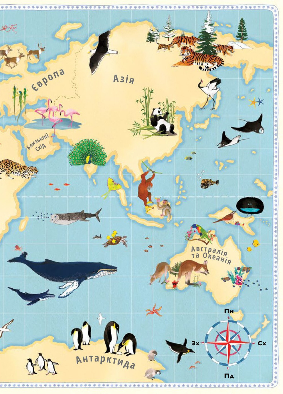 Атлас животных - Эмили Хокинс, Рэйчел Уильямс Книга гигантского размера Книголав (258024065)