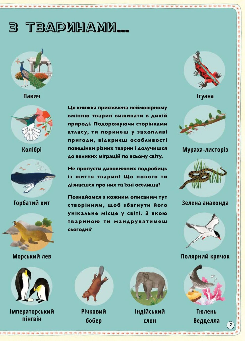 Атлас тварин - Емілі Хокінс, Рейчел Вільямс Книга гігантського розміру Книголав (258024065)