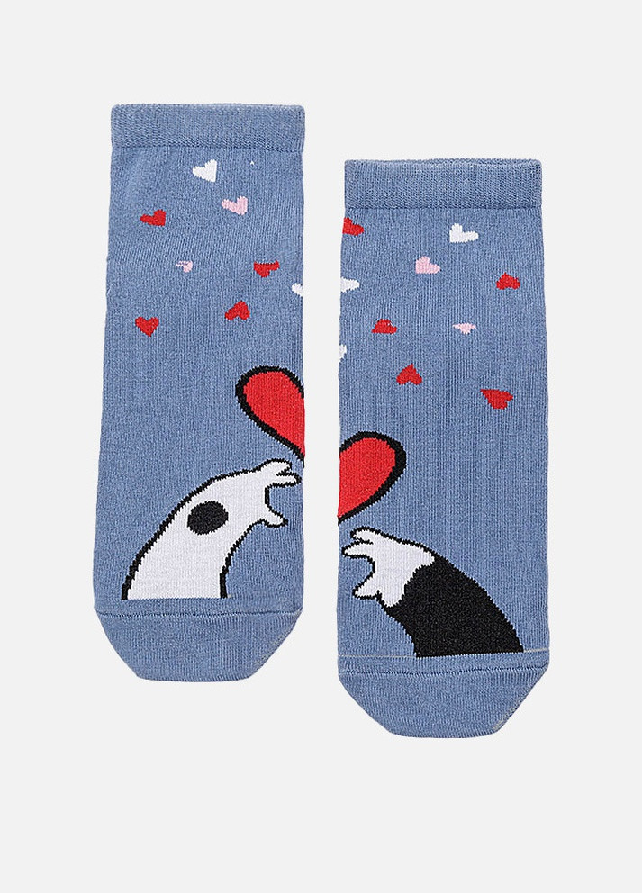 Жіночі шкарпетки Premier Socks (258120459)