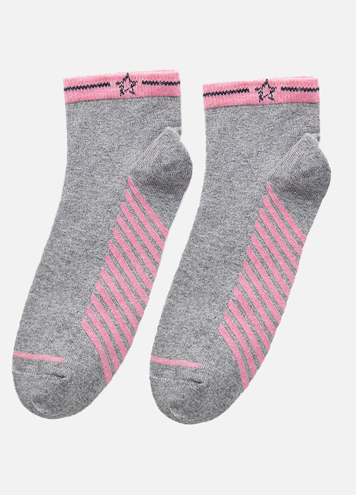Жіночі шкарпетки Premier Socks (258120457)