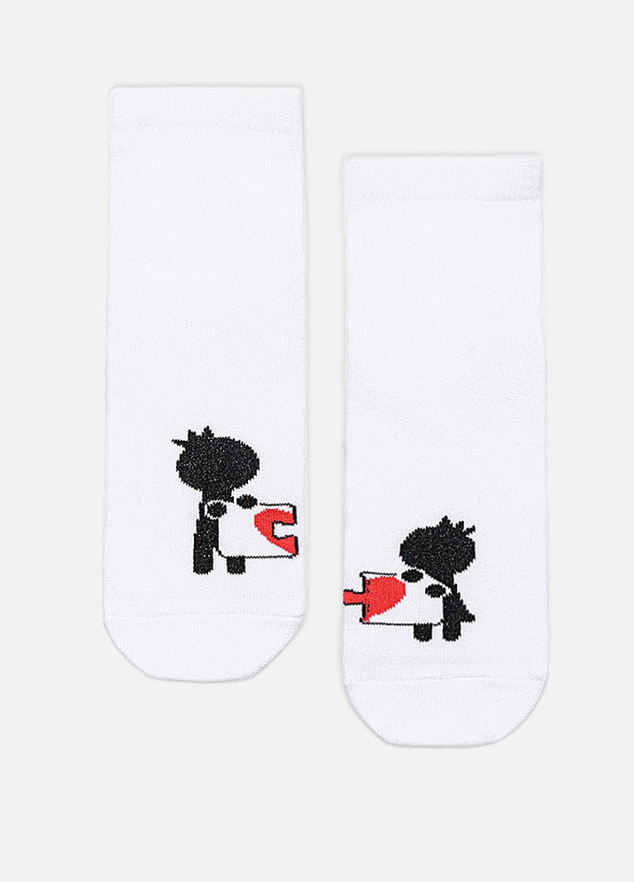 Жіночі шкарпетки Premier Socks (258120452)