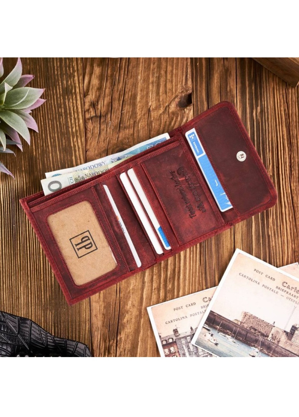 Женский кожаный кошелек Paolo Peruzzi (258236014)