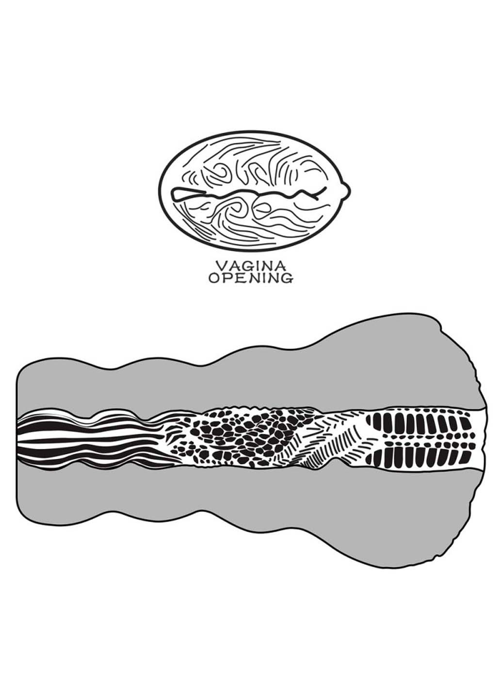 Мастурбатор для мужчин телесный Aliens Pie Masturbator №3 Lovetoy (258291093)