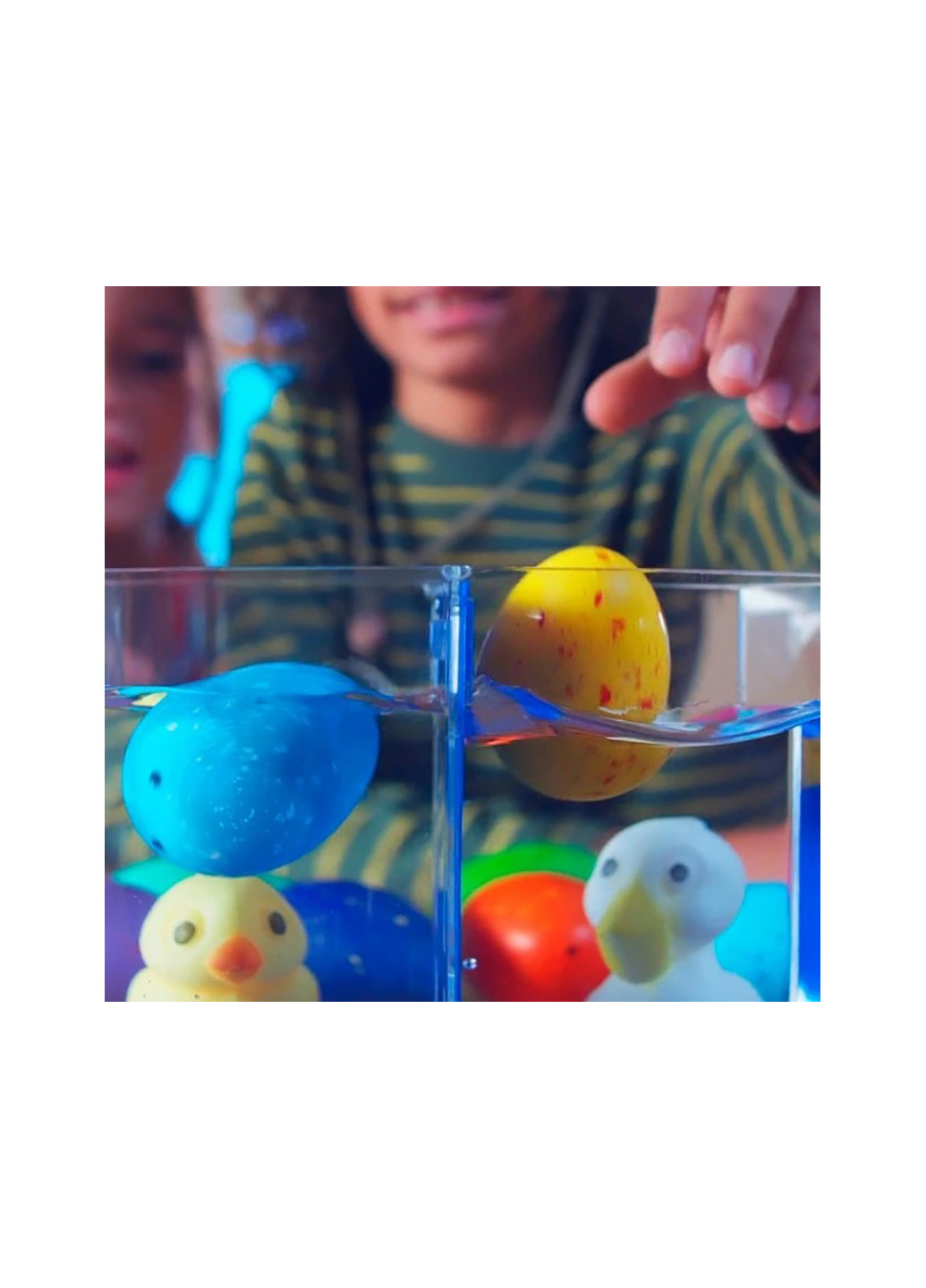 Растущая игрушка в яйце «Eggy Animals» - ПТАШКИ No Brand 91/cn22 (258320134)