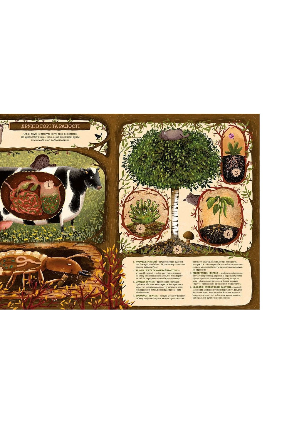 Книга Незвичайна дружба у світі рослин і тварин - Емілія Дзюбак (9786176798668) Видавництво Старого Лева (258357371)