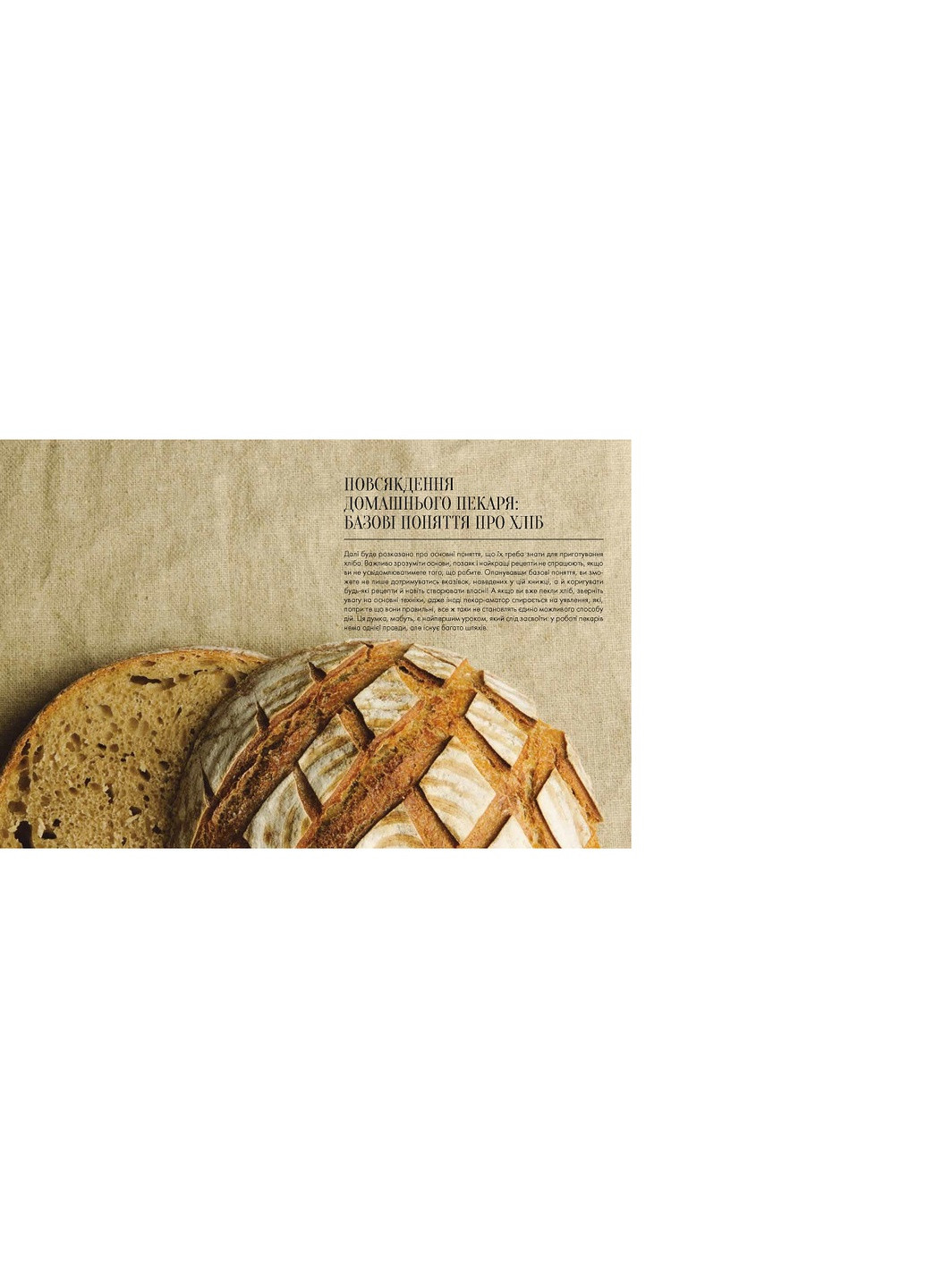Книга Домашній хліб - Ібан Ярса (9789669822192) Vivat (258356011)