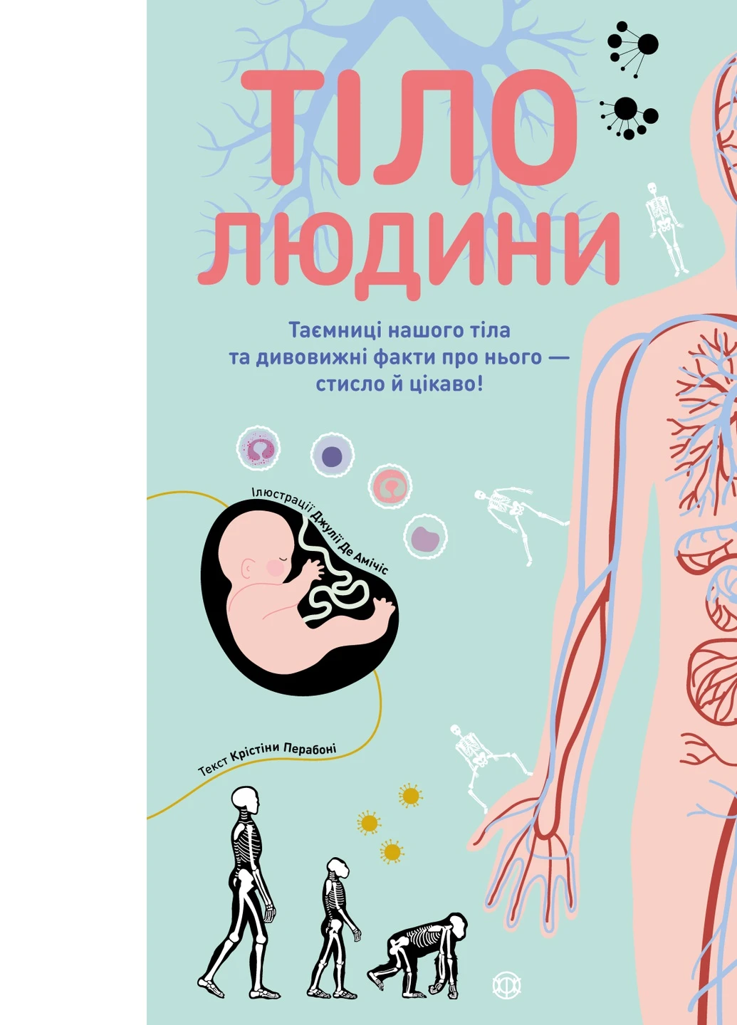 Книга Тіло людини - Христина Перабоні (9786177853199) Жорж (258356279)
