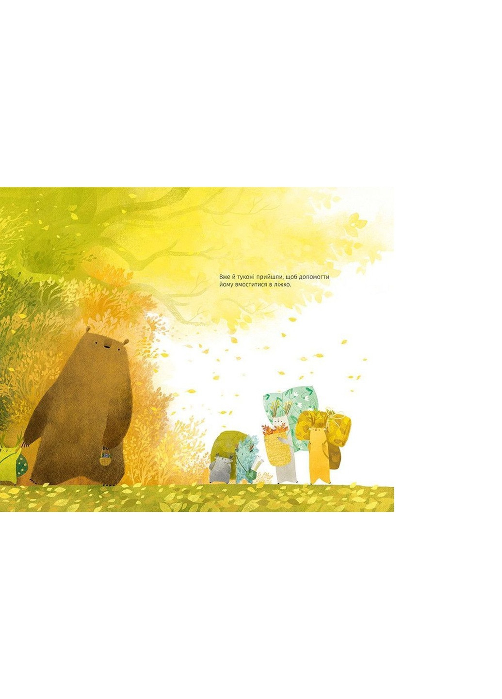 Книга Ведмідь не хоче спати - Оксана Була (9786176793403) Видавництво Старого Лева (258357329)