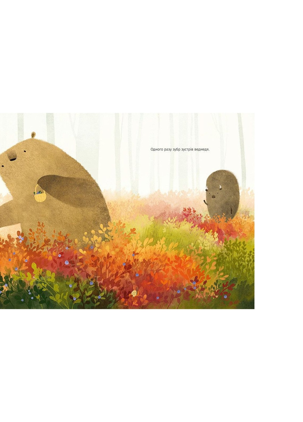 Книга Ведмідь не хоче спати - Оксана Була (9786176793403) Видавництво Старого Лева (258357329)