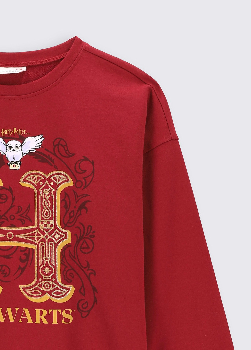 Толстовка Coccodrillo (258354670)