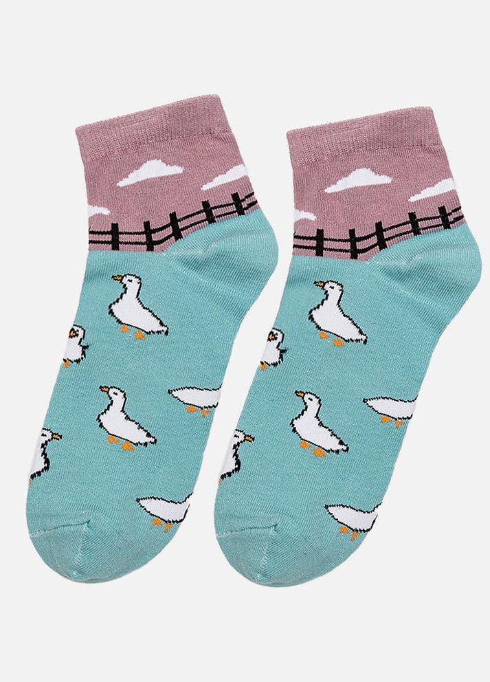 Жіночі шкарпетки Yuki (258543320)