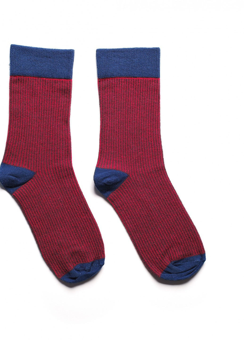 Шкарпетки з принтом кольорові смуги високі безшовні дихаючі якісні ORGANIC cotton малинові носки 39-41 JILL ANTONY (258630794)