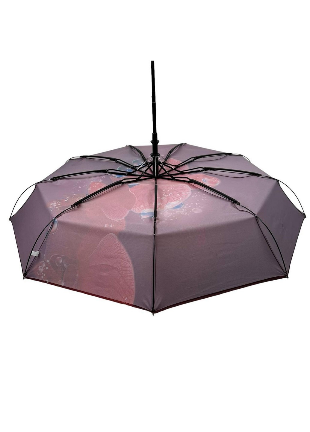 Жіноча парасолька-автомат 102 см Flagman (258639061)
