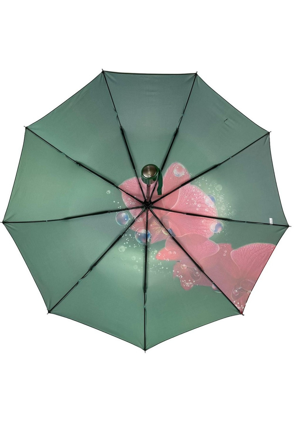 Жіноча парасолька-автомат 102 см Flagman (258639044)