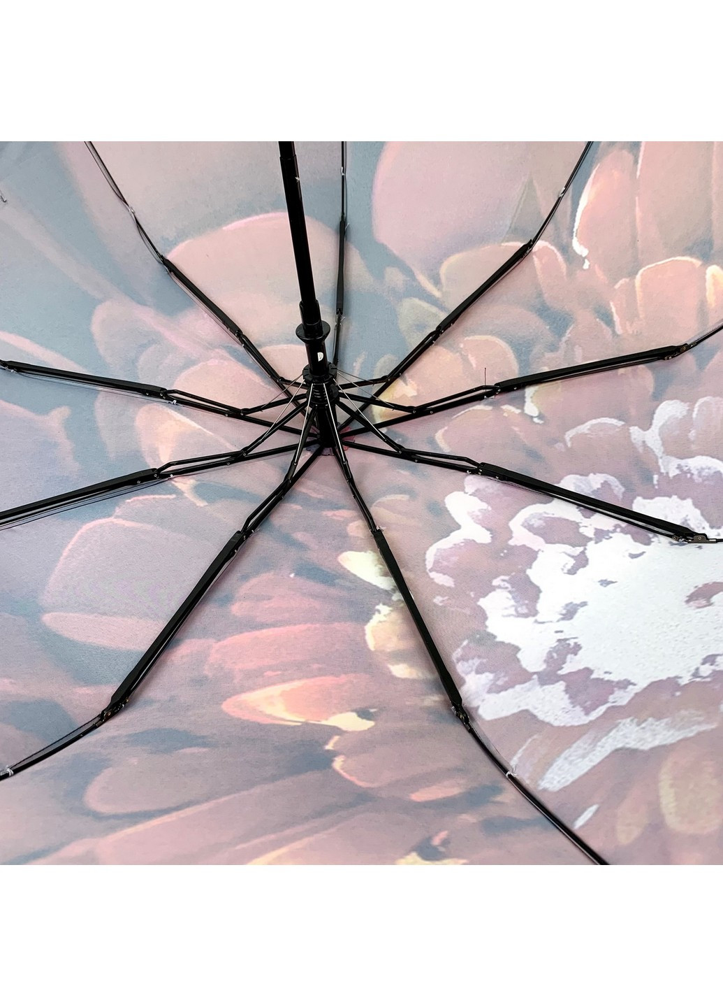 Коралова парасолька-автомат жіноча 98 см Flagman (258676569)