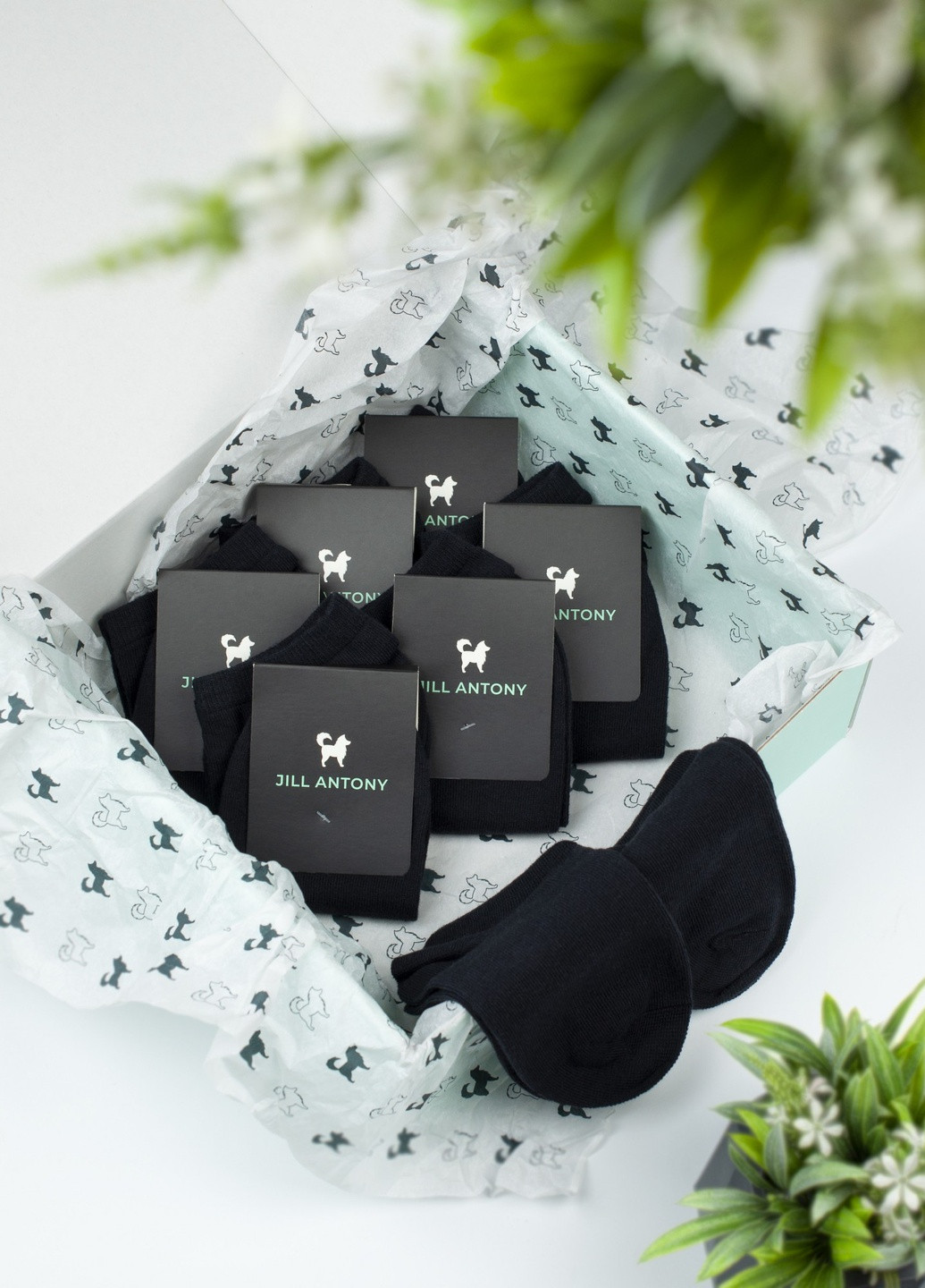 Носки в коробке набор 12 пар короткие мужские бесшовные дышащиетORGANIC cotton красивая коробка черные JILL ANTONY (258722940)