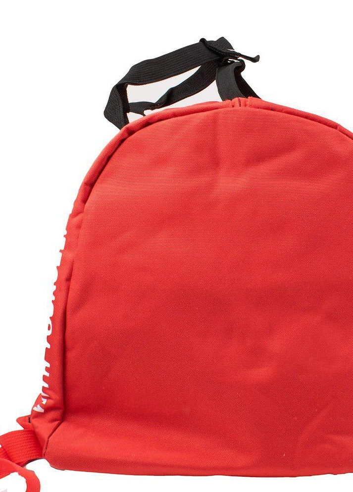 Сумка мужская рюкзак 28х49х27 см Valiria Fashion (258816976)