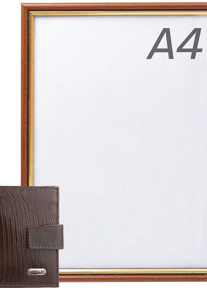 Сумка мужская кошелек 11,5х9,5х2,5 см Canpellini (258816388)