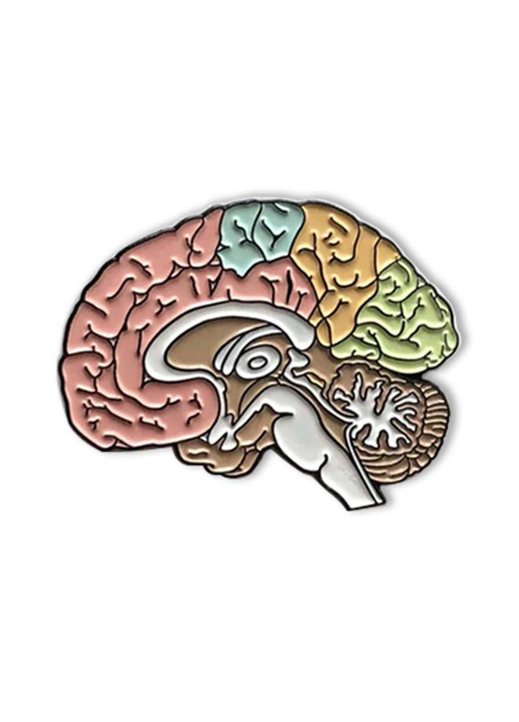 Значок Мозг Broshe (259055509)