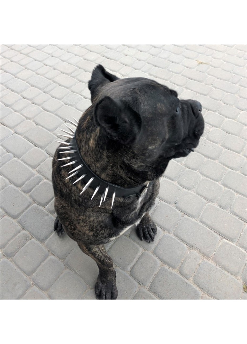 Захисний шкіряний нашийник ручної роботи XL(56-70 см) Lockdog (259092048)