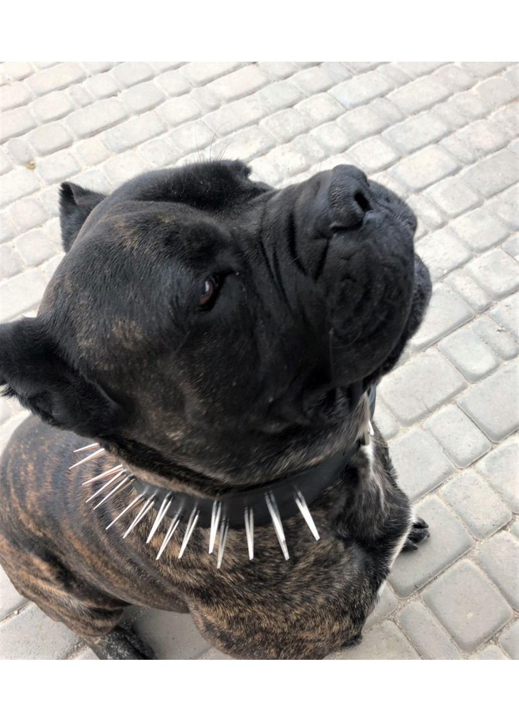 Захисний шкіряний нашийник ручної роботи XL(56-70 см) Lockdog (259092048)