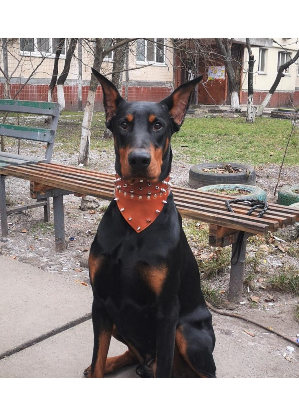 Кожаный ошейник-бандана с шипами M(30-44 см) Lockdog (259093043)