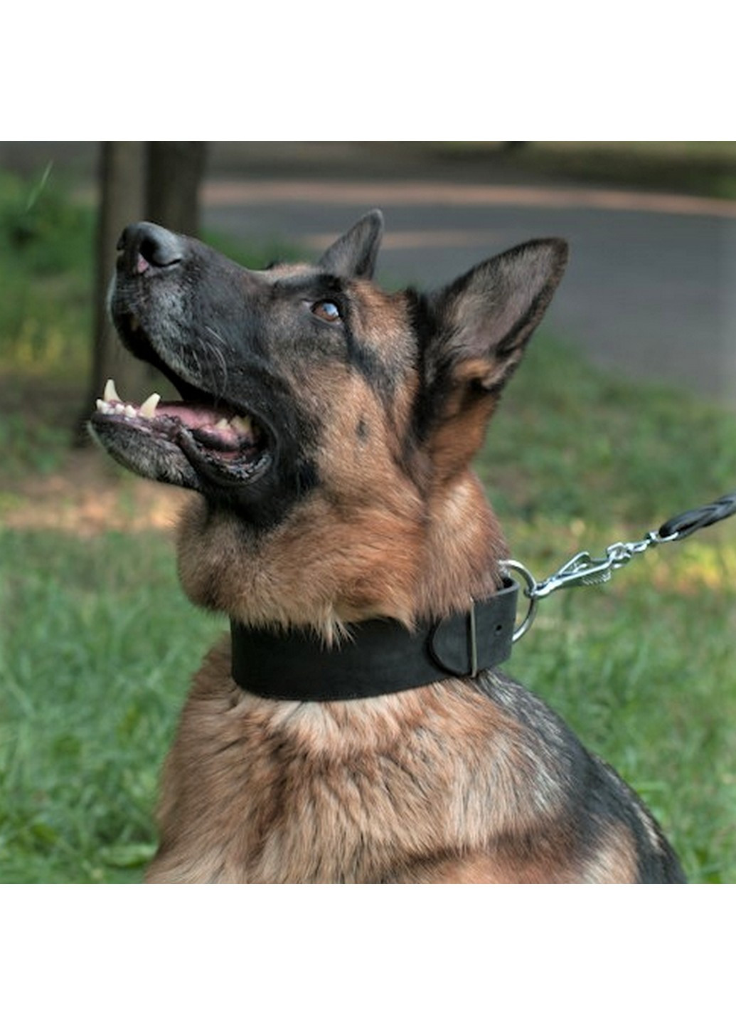 Классический ошейник из натуральной кожи M(30-44 см) Lockdog (259092054)