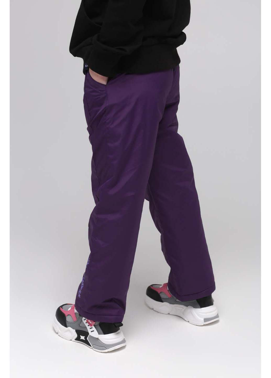 Фиолетовые повседневный демисезонные брюки Snowgenius