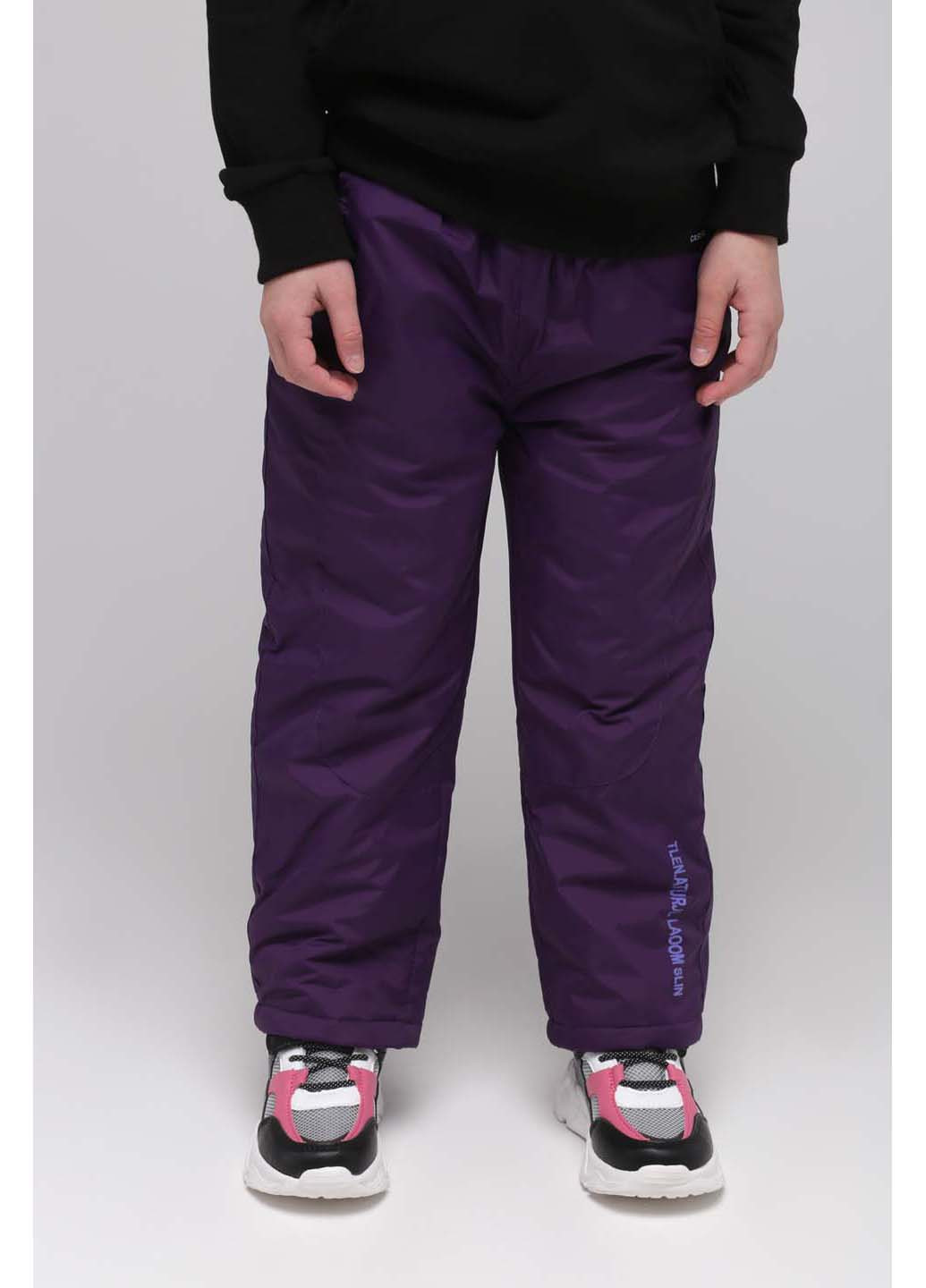 Фиолетовые повседневный демисезонные брюки Snowgenius