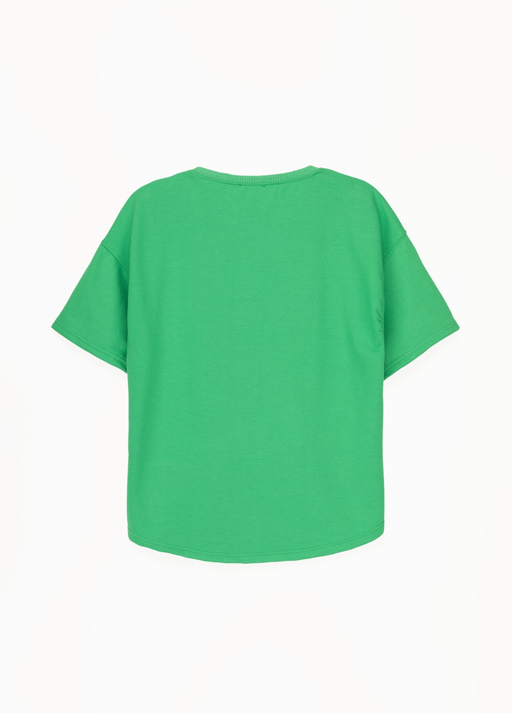 Зеленая демисезон футболка MMS