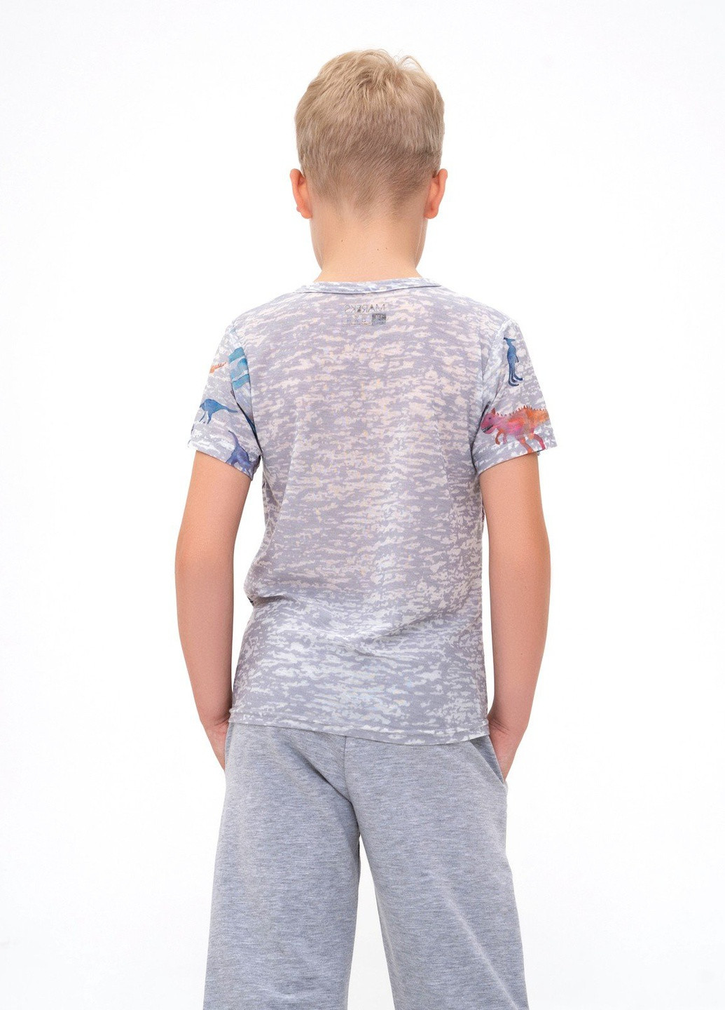 Сіра літня футболка дитяча ISSA PLUS Футболка-GCD1-17