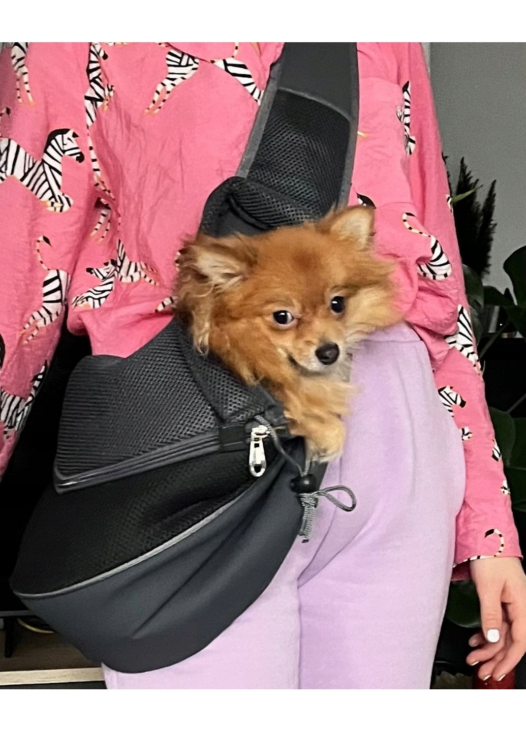 Сумка-рюкзак для тварин 31x24x22 см Reverse (259246927)