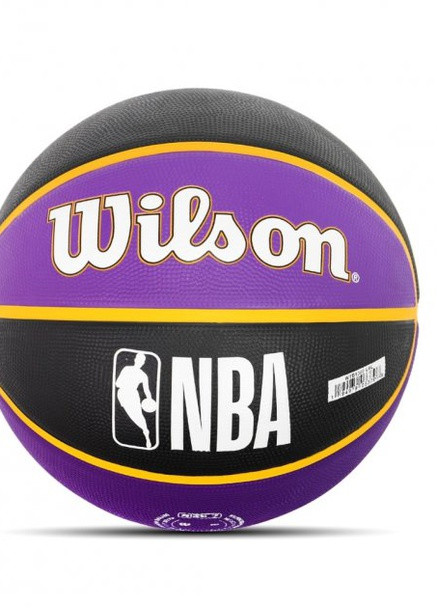 М'яч баскетбольний NBA Team Tribute Outdoor Size 7 Wilson (259296343)
