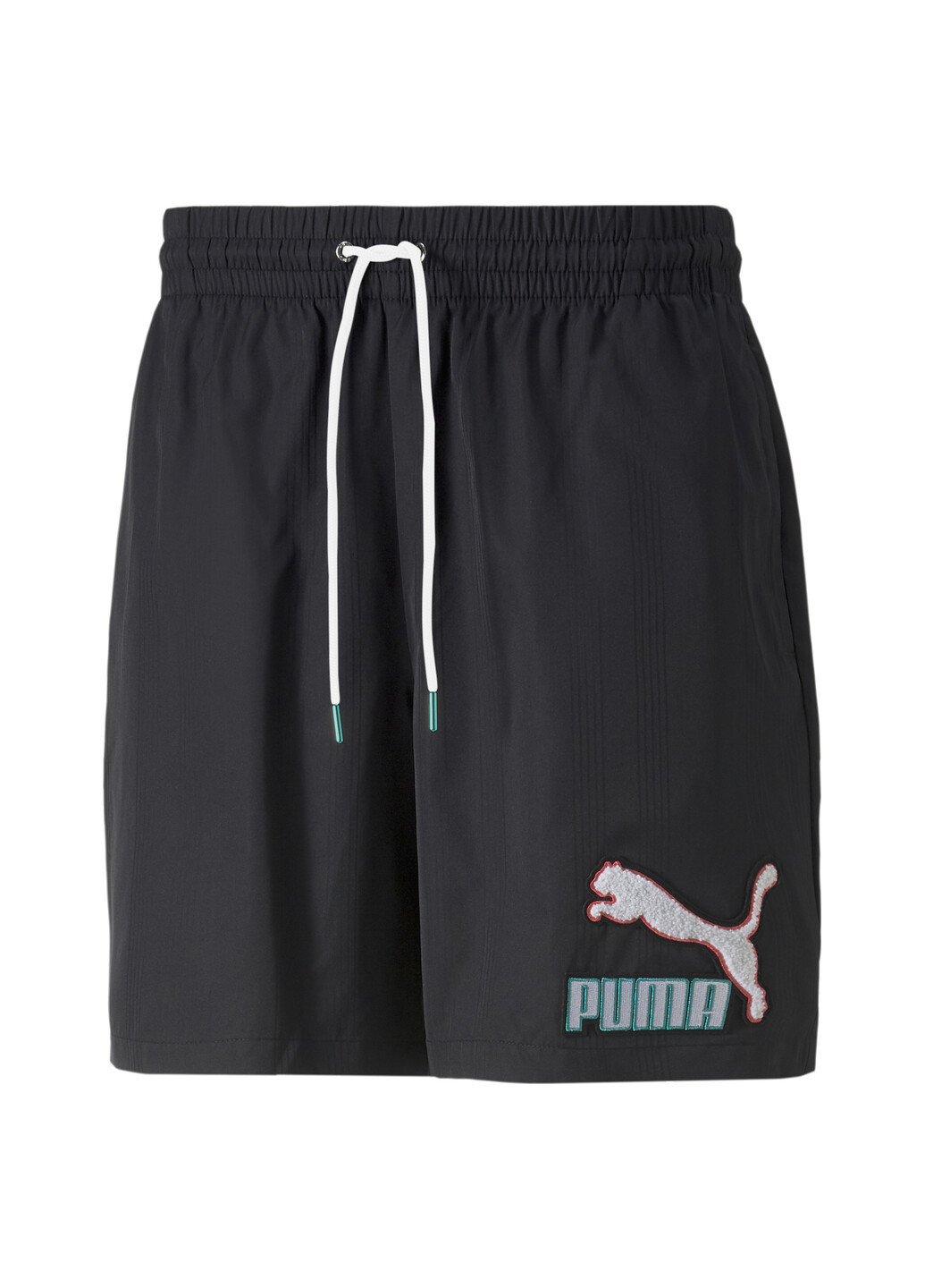 Шорти Fandom Shorts Men Puma (259617782)