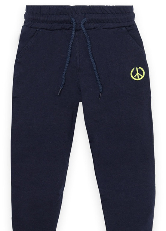 Темно-синие повседневный демисезонные брюки GABBI