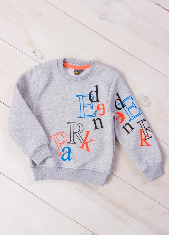Батник для хлопчика Сірий (253461-v2) No Brand (259921619)