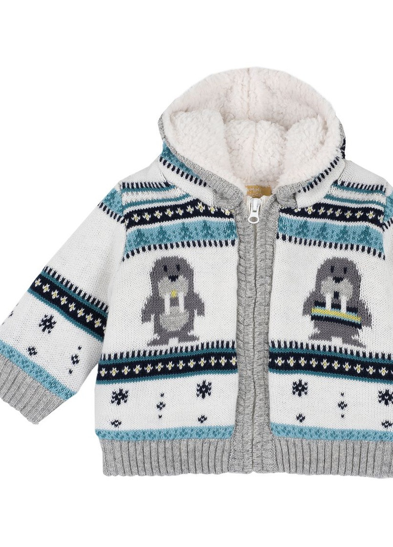 Кардиган c капюшоном Arctic Chicco (259958604)