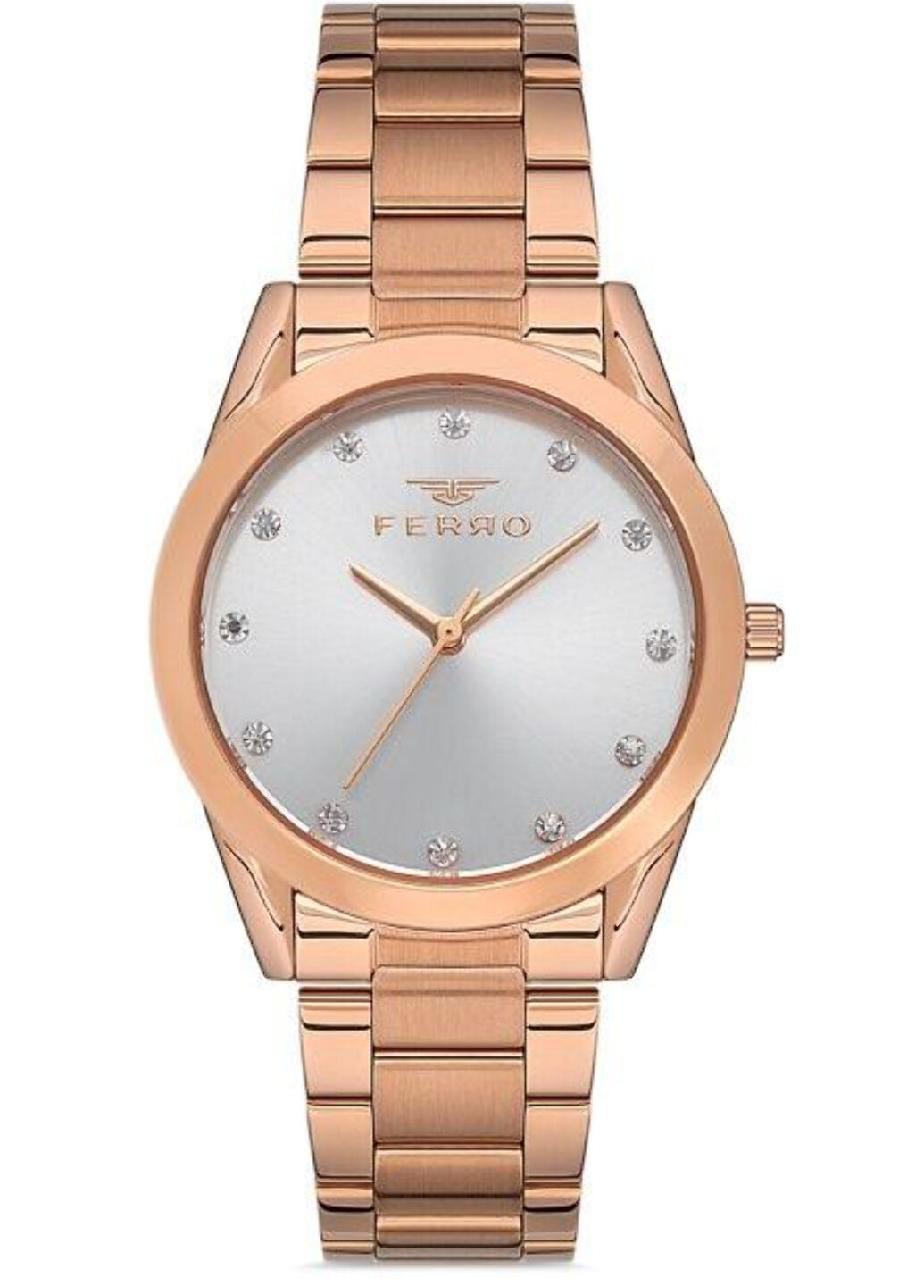 Часы наручные Ferro f21929a-c (260031006)