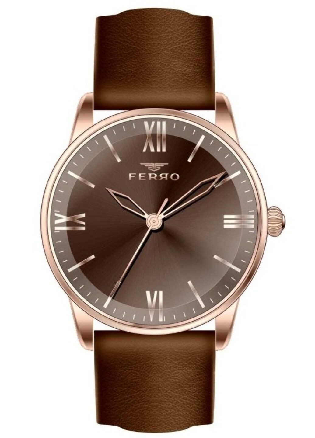 Часы наручные Ferro f21182b-s (260031026)