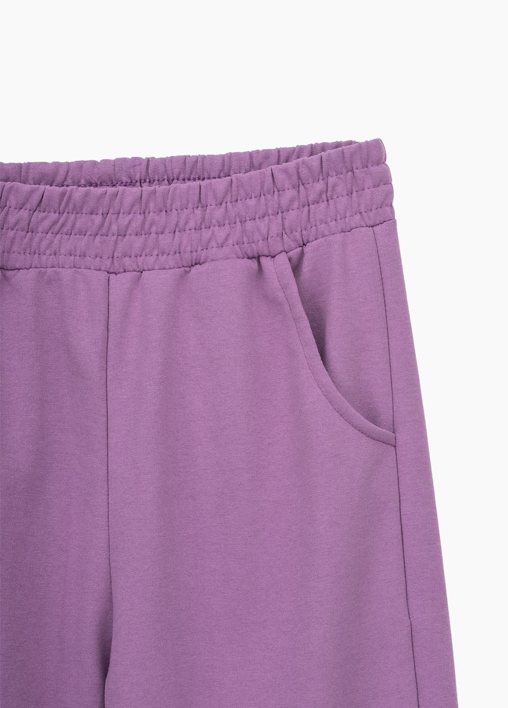 Фиолетовые спортивные демисезонные брюки No Brand