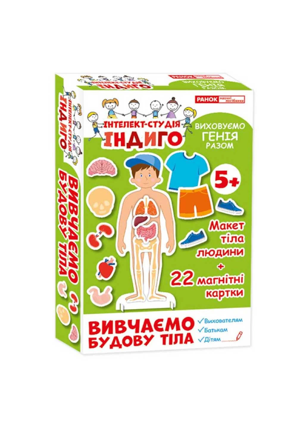 Індіго Вивчаємо будову тіла Ranok Creative (260268602)