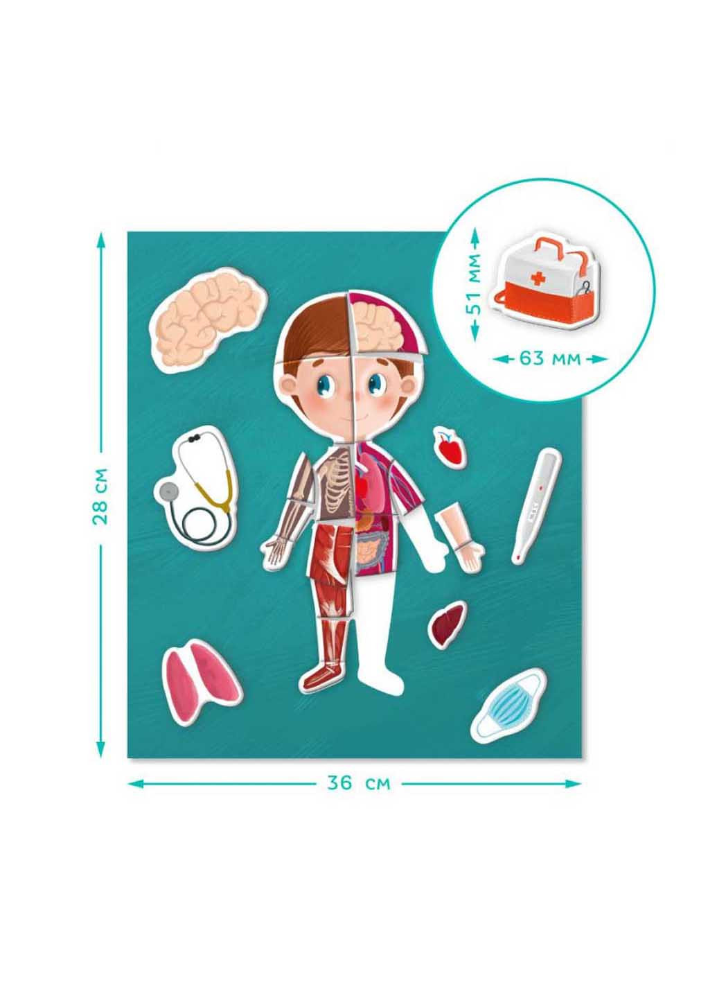 Розвиваюча магнітна гра "Людське тіло" DoDo Toys (260268714)