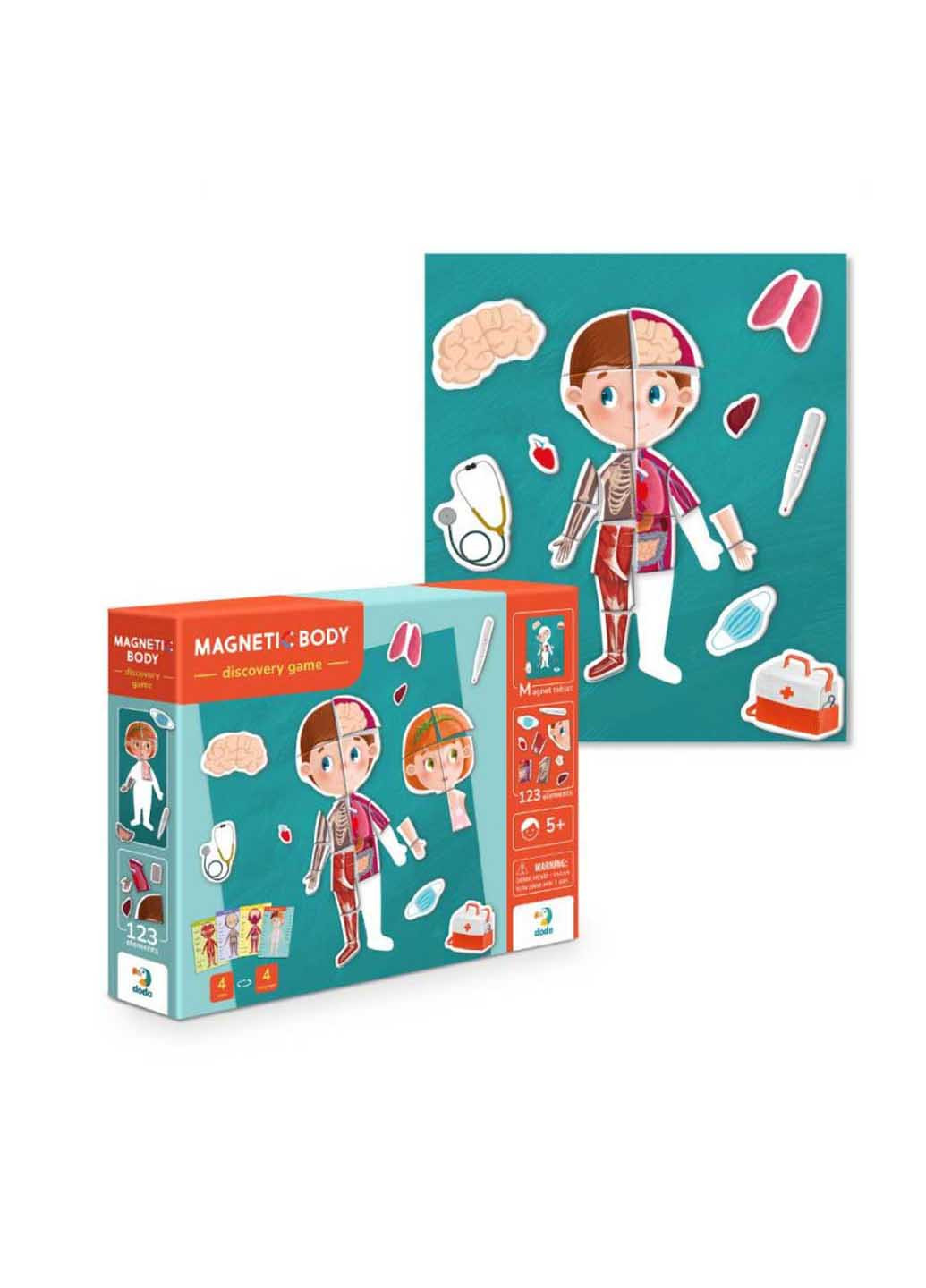 Розвиваюча магнітна гра "Людське тіло" DoDo Toys (260268714)