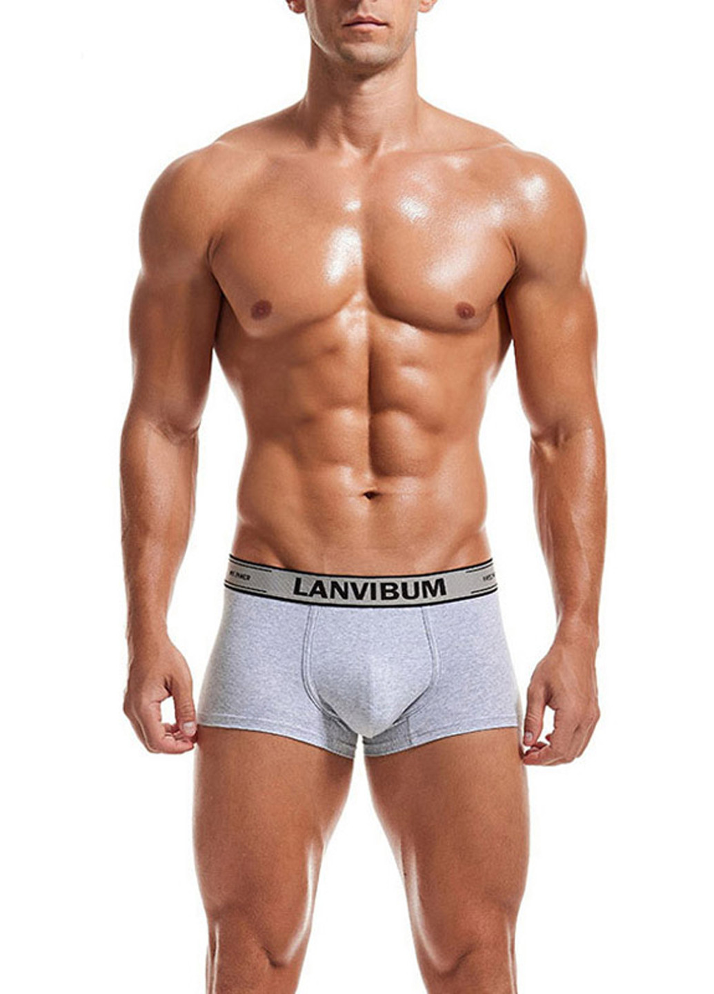 Мужские трусы хипсы Серый Мужские трусы Lanvibum (260360099)