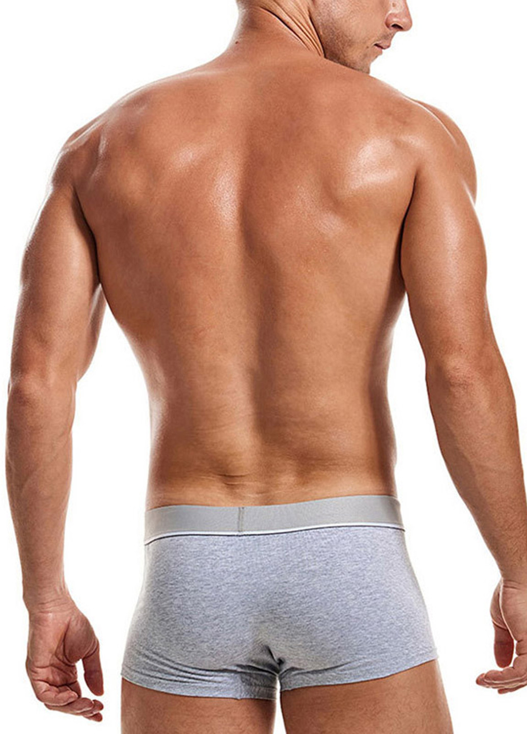 Мужские трусы хипсы Серый Мужские трусы Lanvibum (260360409)