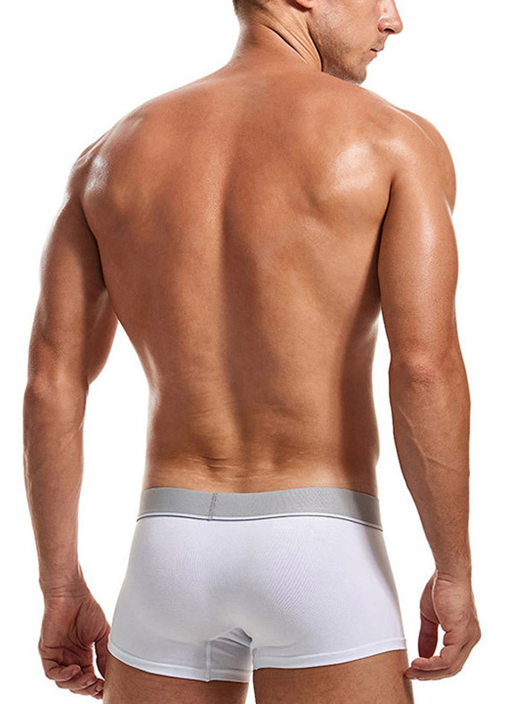 Мужские трусы хипсы Белый Мужские трусы Lanvibum (260360094)