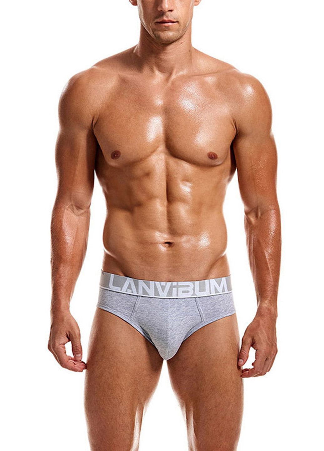 Мужские трусы брифы Серый Мужские трусы Lanvibum (260360643)