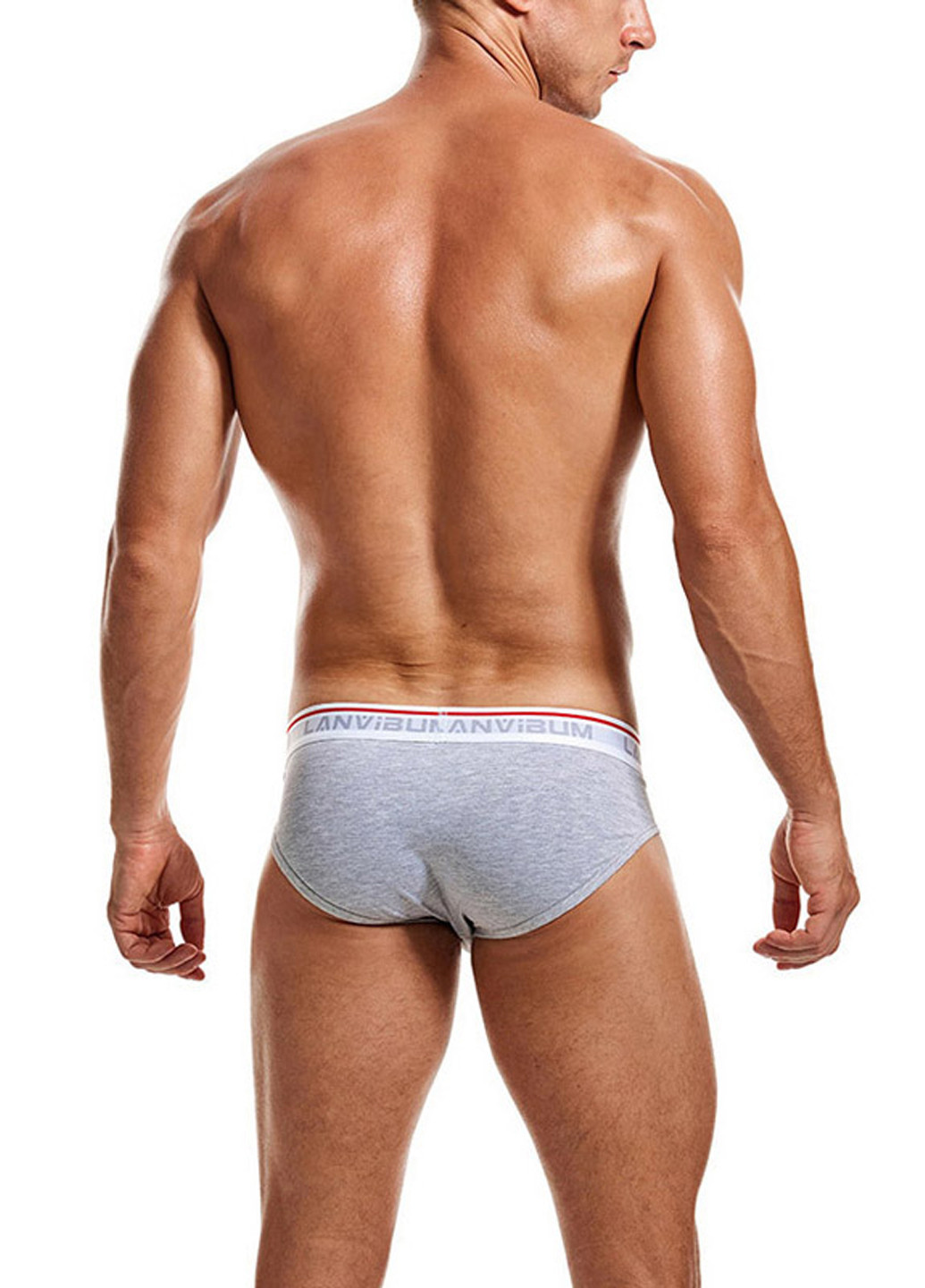 Мужские трусы брифы Серый Мужские трусы Lanvibum (260360101)